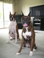Hans and Greta